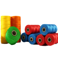 Haute qualité 380D 18ply 36ply 100g corde de pêche en plastique polyéthylène PE multifilament ficelle haute ténacité longueur personnalisée pour