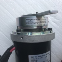 Moteur de scooter électrique LINIX Lianyi Yingluohua 68ZY24-250-A/250D-B 24V 250W en provenance de Chine continentale