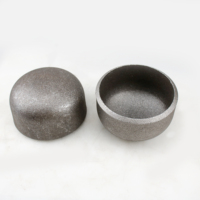 Bouchon de tube ovale en acier inoxydable 304, alliage d'acier au carbone, traitement de surface par peinture, tête pressée, forgé