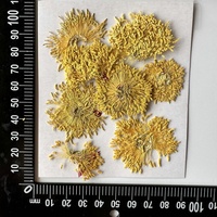 Bunga peoni Series Botanical bahan untuk bingkai foto cat Resin seni ditekan