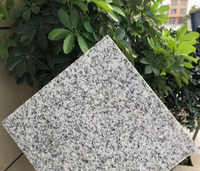 Carreaux de sol en granit naturel blanc flammé - Design moderne, légers, durables, écologiques pour villa, salle de bain, cuisine, extérieur