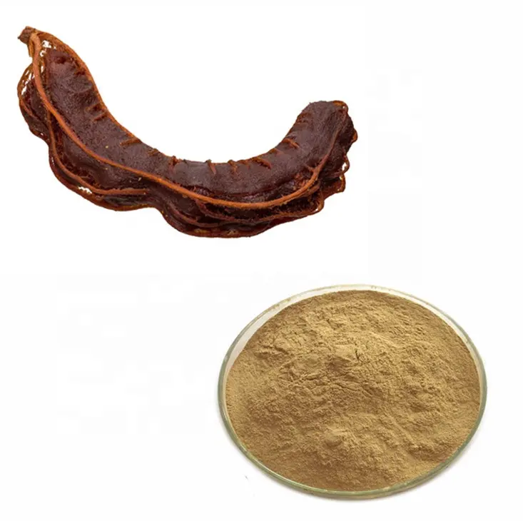 Pastilles de Tamarind à séchage rapide, poudre, pour jus, avec emballage en vrac