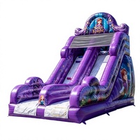 Toboggan gonflable sec sur le thème de la Princesse Violette, toboggan gonflable pour enfants en PVC robuste pour parc d'attractions