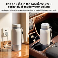 Bouilloire Thermos Portable en Acier Inoxydable 316 de 500 ml pour Voiture, Maison, Voyage en Extérieur, avec Prise Allume-Cigare Domestique