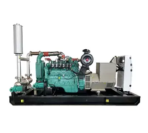 Generator tenaga Gas alami, 40kw 60kva 80kw 90kw 100kw 150kw 250kw 300kw 1mw dengan Cummins Weichai baudoin Jichai