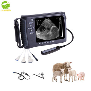 Máquina <span class=keywords><strong>de</strong></span> Ultrasonido Portátil Médica, Completamente Digital, en Blanco y Negro, <span class=keywords><strong>Precio</strong></span> <span class=keywords><strong>de</strong></span> Fábrica, Equipo Veterinario para Clínica - Product Image 2