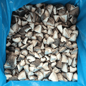 Setas <span class=keywords><strong>shiitake</strong></span> congeladas IQF frescas y saludables (Boletus Champignon) a granel para fuente de alimentos - Product Image 3