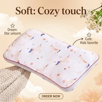 Taie d'oreiller personnalisée pour enfants, très vendue, oreiller respirant et doux pour tout-petits, ensemble de literie pour enfants, oreillers pour un sommeil confortable