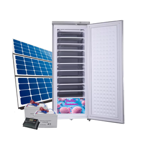 Congélateur vertical de qualité supérieure de 198 litres avec 11 niveaux pour machine à glaçons et poisson, pour usage commercial, marché sénégalais - Product Image 1