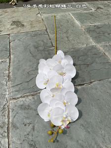 Orquídeas Artificiales de Color Nude, Orquídeas Blancas de Tacto Real, Orquídeas Azules Phalaenopsis para Decoración, Venta al Por Mayor - Product Image 6