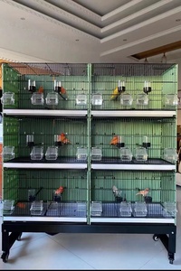 Yükseltilmiş küçük Modern uçuş kuş kafesi-4 ön kapılar tam arka Panel bölücü plastik tepsi yetiştiriciliği için papağan Aviary tohum bekçi - Product Image 3