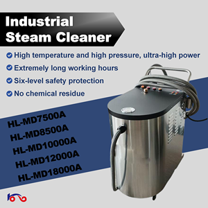 Macchina Elettrica Industriale per <span class=keywords><strong>Lavaggio</strong></span> <span class=keywords><strong>Auto</strong></span> a Vapore ad Alta Pressione, Pulizia <span class=keywords><strong>Interni</strong></span> Motore, Disinfezione ad Alta Temperatura, Acciaio Inossidabile - Product Image 2