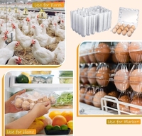 Plateau à œufs en plastique Chine avec 10 trous Empilable Bon marché Jetable Transparent Plateau d'emballage pour œufs Couvercle Plateau en plastique pour œufs