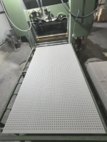 Panneau en silicate de calcium perforé QINGTAI au design moderne, surface en papier, garantie 5 ans, pour plafonds de bureaux, écoles, hôtels, centres commerciaux, acoustique