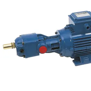 Made In Italy Volumetric Bare Shaft Gear Pump Flanged Type APF Transferring Lubricant Liquids Cast Iron 43 6 Cm3/rev