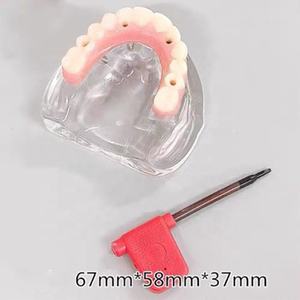 نموذج عرض لتثبيت أسنان واستعادة جسر سريع يتماشى مع الكل في 4 - Product Image 4