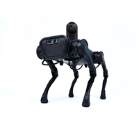 Robot quadrupède biomimétique personnalisé pour l'aéroport Métro à grande vitesse Robot de sécurité chien de patrouille de suivi par reconnaissance faciale