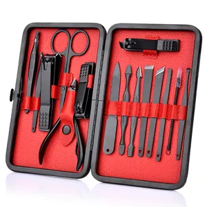 Professionele 15Pcs Manicure Set Pedicure Nail Kit Roestvrij Stalen Voeten Zorg Tool Sets