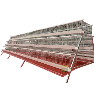 GREAT FARM 3-tier A type Layer chicken cages 120/96 chicken for chicken farm