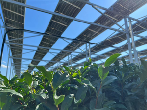 Sistema de Energía Solar Fotovoltaica Independiente de 100KW 80KW 60KW 50KW para Granjas Orgánicas Fuera de la Red - Product Image 5