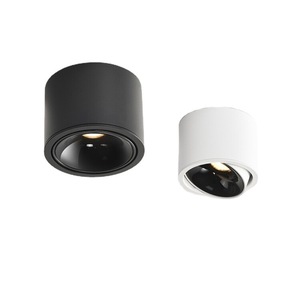 Chất lượng cao có thể điều chỉnh bề mặt gắn loại COB <span class=keywords><strong>LED</strong></span> Trần xuống ánh sáng - Product Image 1