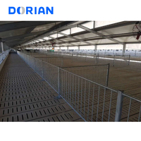 Fournisseur de hangar d'élevage de volailles à énergie solaire à structure métallique pour chèvres et moutons