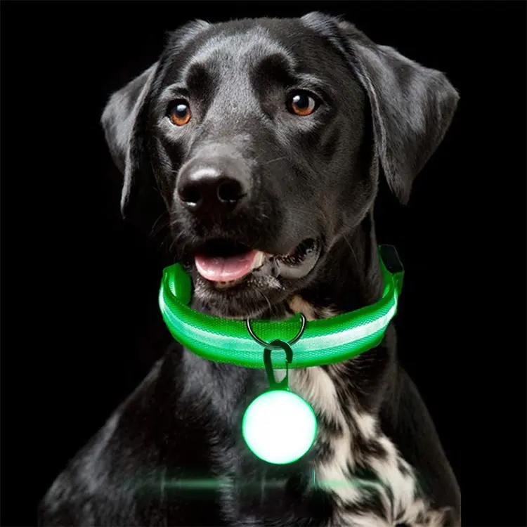 ปลอกคอสุนัข LED เรืองแสงไฟ Led กระพริบปรับได้,ไฟเรืองแสงตอนกลางคืนปลอดภัยแบบ Usb ชาร์จได้