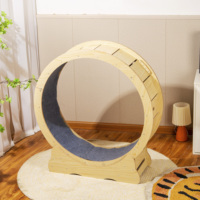 Roue d'exercice pour chat, tapis roulant pour chat, sécurité, verrouillage, stabilité, capacité de charge, cycle circulaire, silencieux