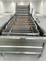 Geavanceerde industriële volautomatische luchtbel-pomp wasmachine motor, food grade, hoge reinigingsgraad, stabiele transportband voor