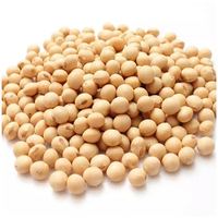 Vente en gros, vente en gros, 100% protéines naturelles, soja jaune, graines de soja des pays-bas
