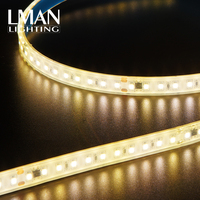 Bande LED extérieure SMD2835 120 LED/m, indice de protection IP67, 2700K-10000K, télécommande, intensité variable, CRI>83, 105LM/W