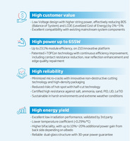 Panneaux solaires monocristallins bifaciaux à double vitrage de type N Topcon à haute efficacité photovoltaïque Trina Vertex 650 Watt 650W