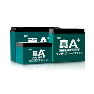 Batería de Plomo-Ácido VRLA Tianneng TNE12-15 TNE12-25 TNEH12-27 TNEP12-28 6-DZF-20 12V48V 12Ah 20Ah 52Ah para Bicicletas Eléctricas y Scooters, OEM CE - Product Image 1