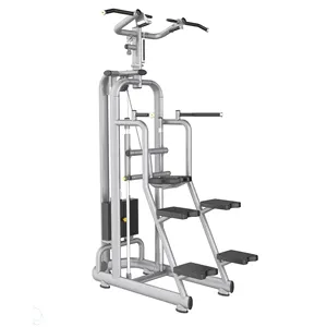 High End Ginásio Uso Fitness Máquina Pin Loaded Membros Superiores Dip Chin Assist Home Gym Equipamento para Musculação