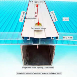 Feuille de <span class=keywords><strong>polycarbonate</strong></span> à double paroi en PC de 4 mm d'épaisseur, de couleur, découpée sur mesure en usine - Product Image 4