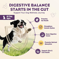 Pevet GMP Factory OEM&ODM Protection fonctionnelle personnalisée du tractus digestif Réduction des allergies alimentaires Bien-être intestinal quotidien pour animaux de compagnie