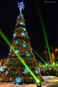 屋外ショッピングモール,大人工景観装饰,LEDライト付きクリスマスツリー - Product Image 3