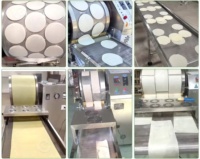 Machine automatique de remplissage et de formage de rouleaux de printemps à chauffage au gaz, moules roulants en acier inoxydable 304 pour usine alimentaire commerciale