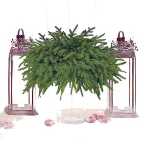 Ramas de Pino Norfolk Artificiales de 19 Pulgadas, Hojas de Pino Verdes Artificiales para Manualidades, Guirnaldas, Decoración del Hogar y Jardín - Product Image 4