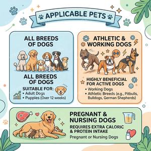 Suplemento de Proteína de Suero de Leche para Ganancia Muscular en Perros, Marca Privada OEM/ODM, Alto en Proteínas con BCAA y Enzimas Digestivas, Directo de Fábrica, 240g - Product Image 3