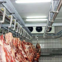 Chambre froide automatique pour viande avec moteur et boîte de vitesses -18~-25°C - Conservation écologique du bœuf, du porc et du poulet congelés