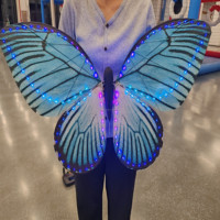 Drone papillon télécommandé haut de gamme JIN PENG 2.4G, avec lumières LED RVB, spécialement conçu pour les spectacles de mariage