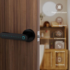 Eseye 2026 Nieuwe Aanwinst Slimme Deurklink Intelligent APP Afstandsbediening Deurslot BLE Slimme Deurslot met Tuya Mobiele APP - Product Image 2