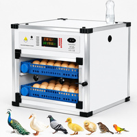 Incubateur à œufs automatique Agricon, capacité de 70 à 420 œufs, AC220V, double alimentation, armoire en PVC, taux d'éclosion de 98%, pour oiseaux