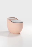 Toilette électrique intelligente moderne avec télécommande, nettoyage automatique, fonction de chauffage du siège et du sangle