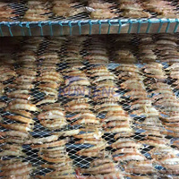 Gerookte Vis Drogen En Roken Machine Garnalen Kippeninsecten Bsf Meerval Zijderupsen Cocon Droger Drogen Gedroogde Vis Machine