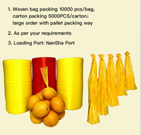 Hochwertige weiße kleine Pe Knoblauch Mesh Bag Obst Verpackung Net Bag Orange Nabel Orange