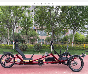 2 व्यक्ति खेल तीन पहिया लेटा हुआ मिलकर ट्राइक पेडल के साथ सहायता - Product Image 4