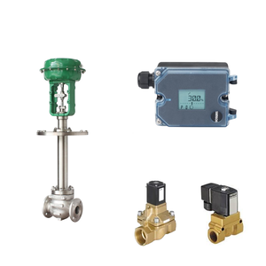 Vanne de régulation de débit ASCO 262 avec positionneur de vanne Samson 3730-31, amplificateur de volume Fisher 2625, filtre régulateur 67CFSR - Product Image 4