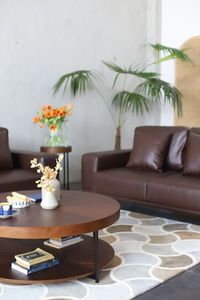 Lucca โต๊ะกาแฟไม้แข็งแบบพรีเมี่ยมสุดทันสมัยเฟอร์นิเจอร์บ้านทนทานสำหรับห้องนั่งเล่น - Product Image 2